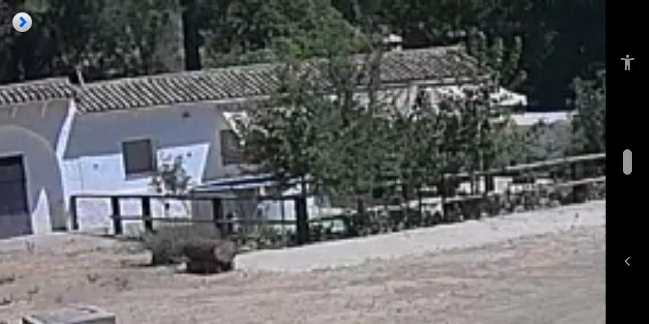 La Umbria De La Ribera Guest House El Pedroso Exterior photo